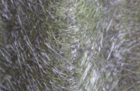 Escrick fibreglass roof work